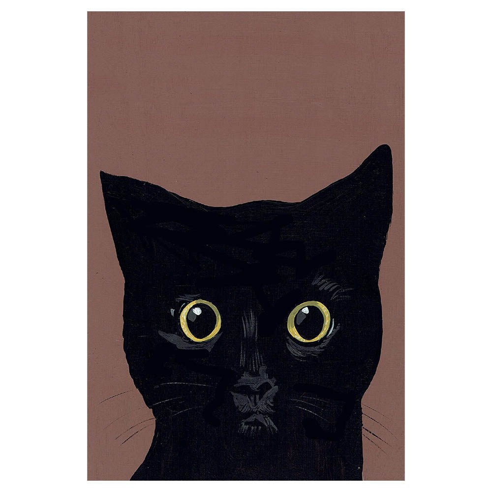 Katten - Catch Utrecht