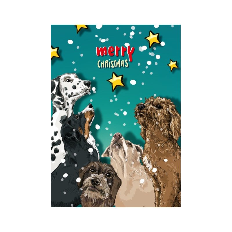 Honden - Merry Christmas - Catch Utrecht