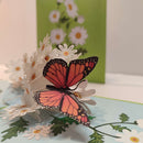 Margrietjes - Pop - Up kaart - Catch Utrecht