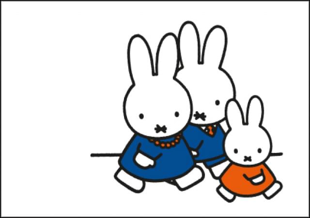 Nijntje - Familie Pluis, Dick Bruna - Catch Utrecht