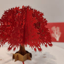 Rode Boom - Pop - Up kaart - Catch Utrecht