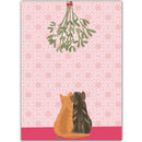 Twee katjes - Catch Utrecht