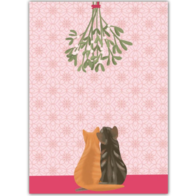 Twee katjes - Catch Utrecht