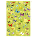 Vlinders - Catch Utrecht