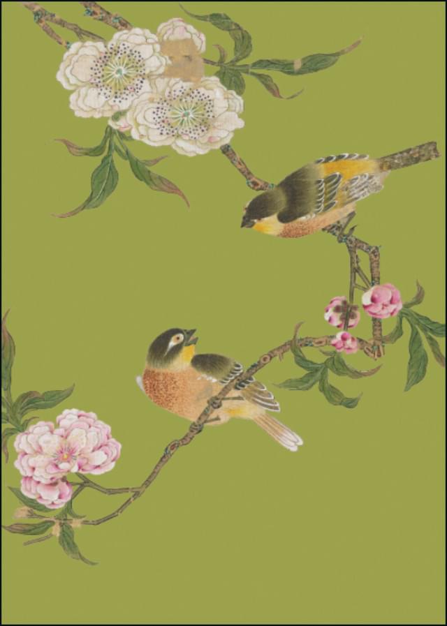 Album of birds and flowers (groen), Hu Feitao, Chester Beatty - Catch Utrecht