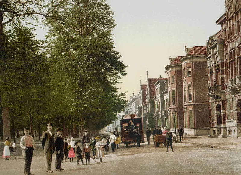 Gezicht in de Maliebaan - 1900, Utrecht - Catch Utrecht