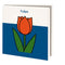 Tulpen, Dick Bruna - Catch Utrecht